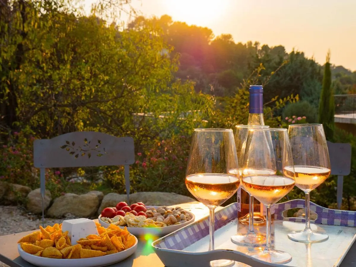 Luxury Villa In Provence With A Private Pool Martres-Tolosane