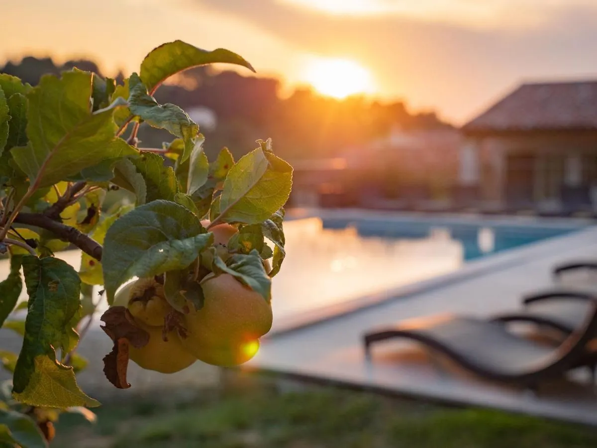 Luxury Villa In Provence With A Private Pool Martres-Tolosane Francia